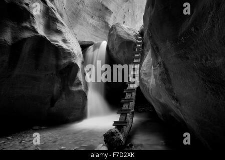 Wasserfall mit Leiter in Kanarra Creek. Utah. Dixie National Forest Stockfoto