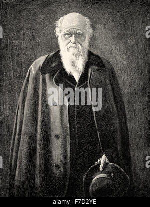 Charles Robert Darwin, 1809-1882, ein britischer Naturforscher, Evolutionstheorie, Stockfoto