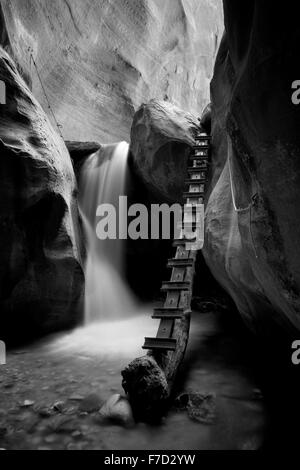 Wasserfall mit Leiter in Kanarra Creek. Utah. Dixie National Forest Stockfoto