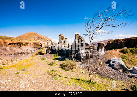 Vulkanlandschaft auf der Kanarischen Insel Lanzarote, Spanien mit einem windigen Baum Stockfoto