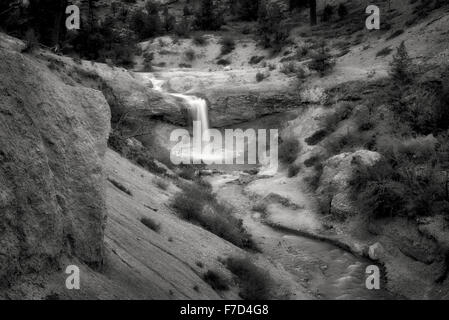 Wasserfall auf Tropic Graben Stream. Bryce National Park, Utah Stockfoto