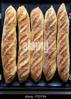 frische Brötchen auf dunklem Hintergrund, Lebensmittel-Draufsicht Stockfoto