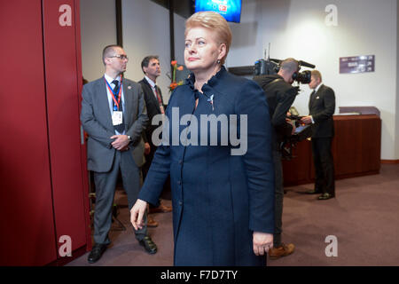 Die litauische Staatspräsidentin Dalia Grybauskaite während ein Familienfoto zu Beginn des EU-Türkei-Gipfel in Brüssel am 29.11.2015 von Wiktor Dabkowski Stockfoto