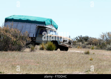 Alte Ford Pick-up Truck mit hölzernen Lattenrost zurück, in Südamerika. Stockfoto