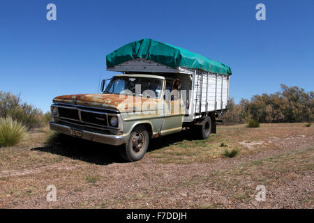 Alte hölzerne Rusted unterstützt Ford Pick-up, Registered in Argentinien. Stockfoto