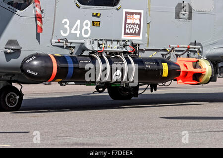 Ein Sting Ray Anti-Submarine Warfare Torpedo montiert auf einen 815 Naval Air Squadron Royal Navy HAS.8 Lynx Hubschrauber. Stockfoto