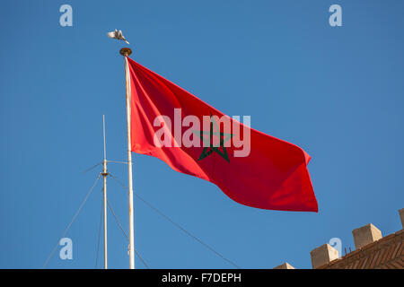 Die Flagge des Königreichs Marokko Stockfoto