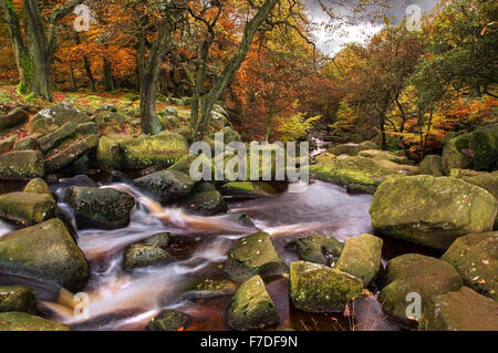 Padley Schlucht im Herbst Stockfoto