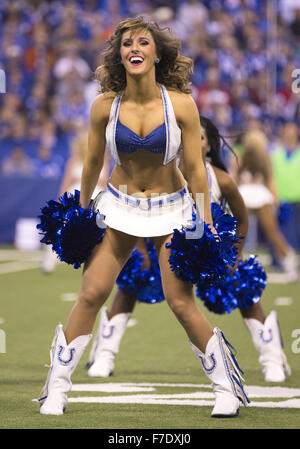 Indianapolis, Indiana, USA. 29. November 2015. Indianapolis Colts Cheerleader führt während der NFL Fußball-Spiel-Action zwischen den Tampa Bay Buccaneers und die Indianapolis Colts im Lucas Oil Stadium in Indianapolis, Indiana. Indianapolis besiegte Tampa Bay 25-12. John Mersits/CSM/Alamy Live-Nachrichten Stockfoto