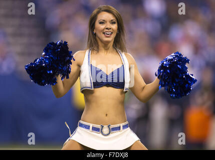 Indianapolis, Indiana, USA. 29. November 2015. Indianapolis Colts Cheerleader führt während der NFL Fußball-Spiel-Action zwischen den Tampa Bay Buccaneers und die Indianapolis Colts im Lucas Oil Stadium in Indianapolis, Indiana. Indianapolis besiegte Tampa Bay 25-12. John Mersits/CSM/Alamy Live-Nachrichten Stockfoto