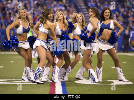 Indianapolis, Indiana, USA. 29. November 2015. Indianapolis Colts Cheerleader führen während NFL Fußball-Spiel-Action zwischen den Tampa Bay Buccaneers und die Indianapolis Colts im Lucas Oil Stadium in Indianapolis, Indiana. Indianapolis besiegte Tampa Bay 25-12. John Mersits/CSM/Alamy Live-Nachrichten Stockfoto
