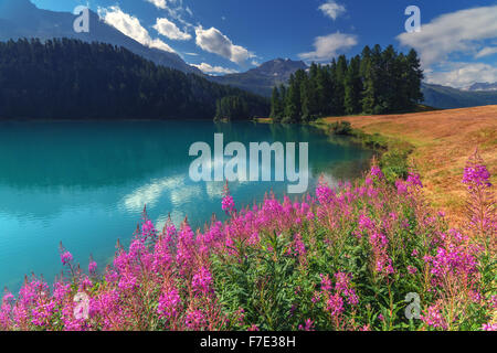 Erstaunliche sonniger Tag am Champferersee See in den Schweizer Alpen. Silvaplana-Dorf, Schweiz, Europa. Stockfoto