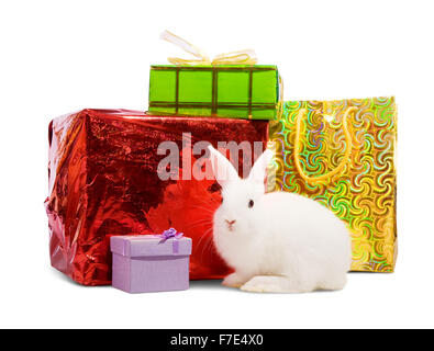 Kleine weiße Kaninchen mit Geschenken. Isoliert auf weißem Hintergrund Stockfoto