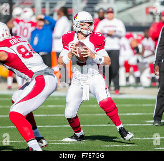 Santa Clara, CA. 29. November 2015. Arizona Cardinals quarterback Carson Palmer (3) in Aktion während der NFL Football-Spiel zwischen den Arizona Cardinals und die San Francisco 49ers im Levi's-Stadion in Santa Clara, Kalifornien. Die Cardinals geschlagen die 49ers 19-13. Damon Tarver/Cal Sport Media/Alamy Live-Nachrichten Stockfoto