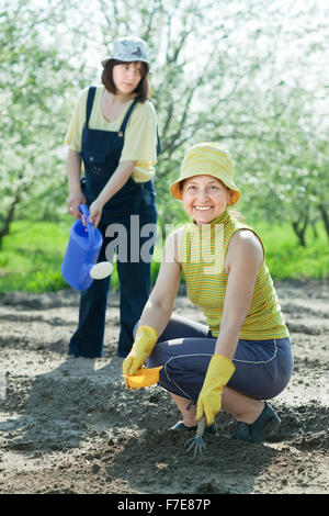 Zwei Frauen sät Samen im Bett im Feld Stockfoto