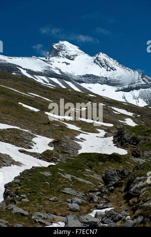 Blick vom Hochtal Valllon de Susanfe auf die schneebedeckten Gipfel der Haute Cime Dents du Midi, Champéry, Wallis Stockfoto