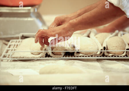 Die geformten Laibe sind berechtigt, vor dem Backen, fotografiert in einer Boutique-Bäckerei Sauerteig Stockfoto