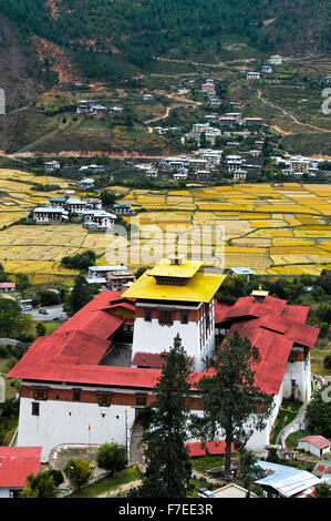 Kloster-Festung Rinpung Dzong, über dem Paro-Tal, Reisfelder hinter Reifen Reispflanzen, Paro, Bhutan Stockfoto