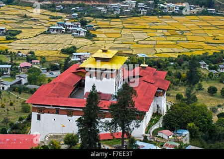 Kloster-Festung Rinpung Dzong, über dem Paro-Tal, Reisfelder hinter Reifen Reispflanzen, Paro, Bhutan Stockfoto