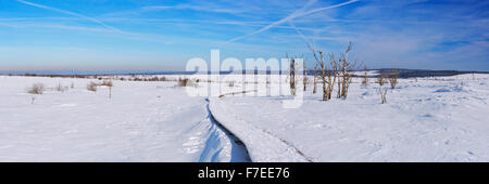 Eine Spur durch die Winterlandschaft des Hautes Fagnes (Hoge Venena, Hohes Venn, hohe Venn) im Osten Belgiens. Stockfoto