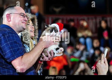 Los Angeles, USA. 29. November 2015. Internet-Berühmtheit mürrische Katze wird während der 84. Hollywood Christmas Parade in Los Angeles, USA, 29. November 2015 gesehen. Bildnachweis: Zhang Chaoqun/Xinhua/Alamy Live-Nachrichten Stockfoto