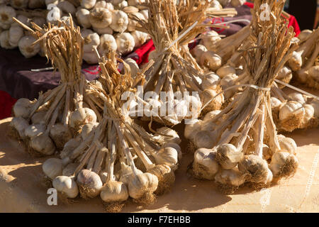 Trauben von spanischen Knoblauch Zwiebeln marktreif. Stockfoto