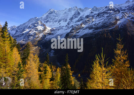 Breithorn, Lötschental, Herbst, Lärchen, Walliser Alpen, Schweiz Stockfoto