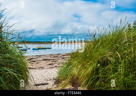 einen Blick, an der Küste durch die Gräser in Northumberland Ray Boswell Stockfoto