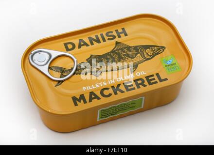 Eine Dose mit dänischen Makrelen Filets in Olivenöl. Stockfoto