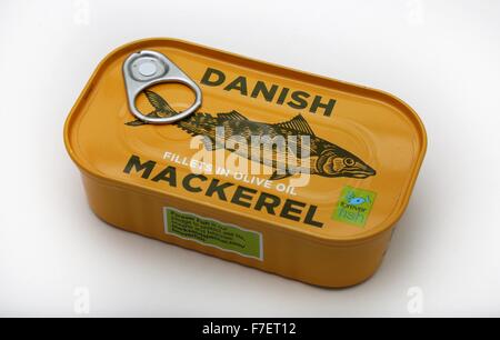 Eine Dose mit dänischen Makrelen Filets in Olivenöl. Stockfoto