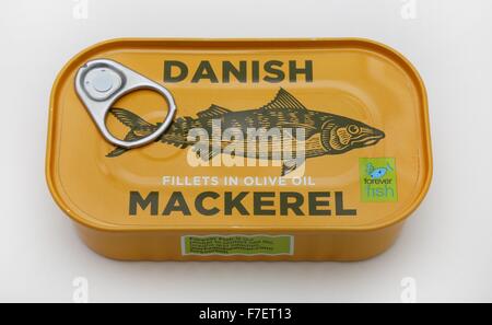 Eine Dose mit dänischen Makrelen Filets in Olivenöl. Stockfoto