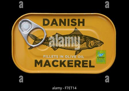 Eine Dose mit dänischen Makrelen Filets in Olivenöl. Stockfoto