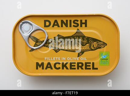 Eine Dose mit dänischen Makrelen Filets in Olivenöl. Stockfoto