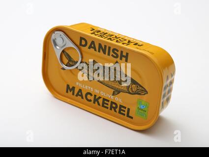 Eine Dose mit dänischen Makrelen Filets in Olivenöl. Stockfoto