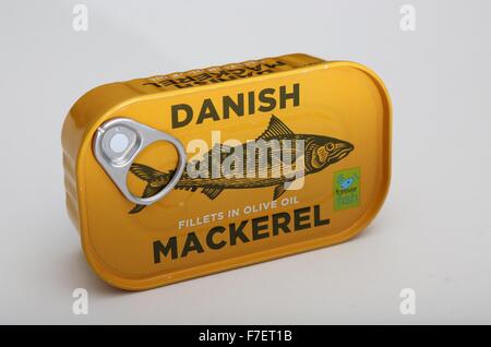 Eine Dose mit dänischen Makrelen Filets in Olivenöl. Stockfoto