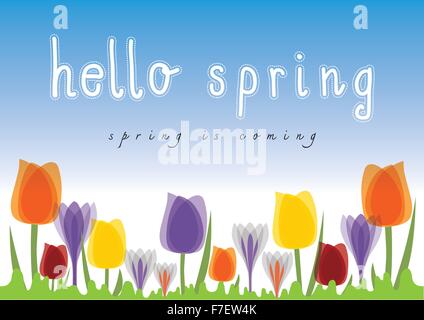 Hallo Frühling Tulpe blaue Himmelshintergrund. Der Frühling kommt Stock Vektor