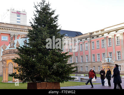 Der Weihnachtsbaum im Innenhof des Landtages Brandenburg in Potsdam, Deutschland, 30. November 2015 leuchtet. Landtag President Britta stark (R) aktiviert die Lichter. Foto: BERND SETTNIK/ZB Stockfoto