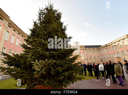 Der Weihnachtsbaum im Innenhof des Landtages Brandenburg in Potsdam, Deutschland, 30. November 2015 leuchtet. Landtag Präsident Britta Stark aktiviert das Licht. Foto: BERND SETTNIK/ZB Stockfoto