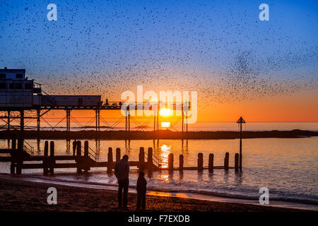 Starling Murmuration über Aberystwyth Pier bei Sonnenuntergang Stockfoto