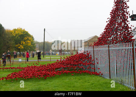 Die Kaskade von keramischen rote Mohnblumen in Woodhorn Bergbaumuseum in Erinnerung an erster Weltkrieg Soldaten Ashington Northumberland UK Stockfoto