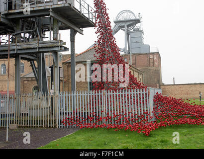 Die Kaskade von keramischen rote Mohnblumen in Woodhorn Bergbaumuseum in Erinnerung an erster Weltkrieg Soldaten Ashington Northumberland UK Stockfoto