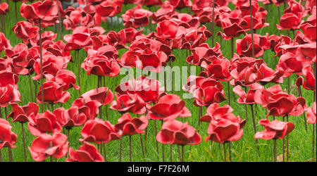 Die Kaskade von keramischen rote Mohnblumen in Woodhorn Bergbaumuseum in Erinnerung an erster Weltkrieg Soldaten Ashington Northumberland UK Stockfoto