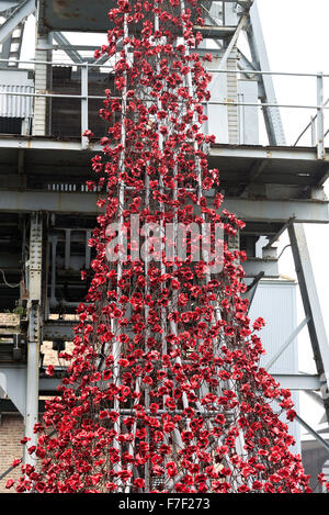 Die Kaskade von keramischen rote Mohnblumen in Woodhorn Bergbaumuseum in Erinnerung an erster Weltkrieg Soldaten Ashington Northumberland UK Stockfoto