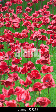 Die Kaskade von keramischen rote Mohnblumen in Woodhorn Bergbaumuseum in Erinnerung an erster Weltkrieg Soldaten Ashington Northumberland UK Stockfoto