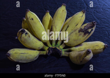 Thai Bananen Stillleben Stockfoto