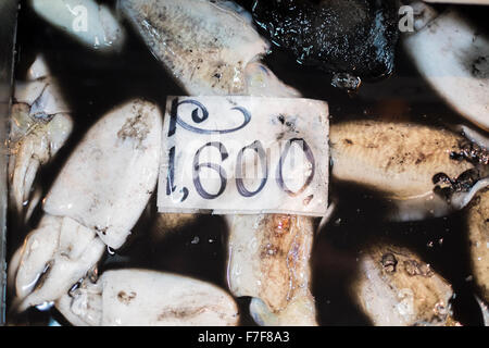 Japanische Tintenfisch zum Verkauf in Tinte Stockfoto
