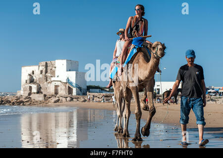 Touristen, Kamelreiten entlang der Wasserkante von Sidi Kaouki Beach in Marokko. Stockfoto