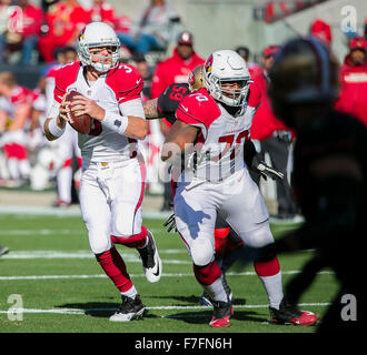 Santa Clara, CA. 29. November 2015. Arizona Cardinals quarterback Carson Palmer (3) in Aktion während der NFL Football-Spiel zwischen den Arizona Cardinals und die San Francisco 49ers im Levi's-Stadion in Santa Clara, Kalifornien. Die Cardinals geschlagen die 49ers 19-13. Damon Tarver/Cal Sport Media/Alamy Live-Nachrichten Stockfoto