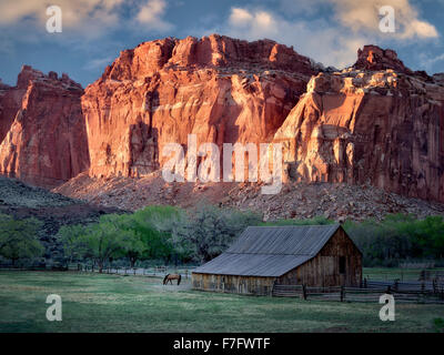 Gifford Bauernhof Stall und Pferd. Fruita, Capitol Reef National Park, Utah Stockfoto