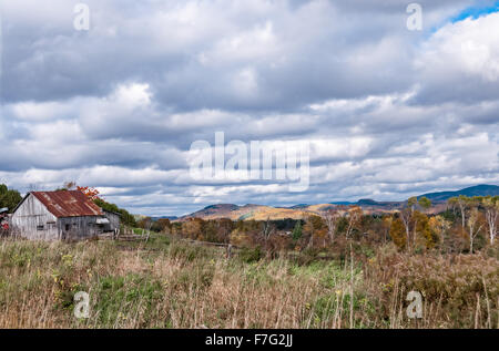 herbstlicher Ausblick mit alten rustikalen Scheune mit Silo in Quebec Land im Herbst, Kanada Stockfoto